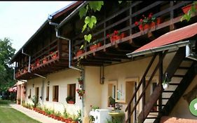 Pensiunea Leia Cârțișoara